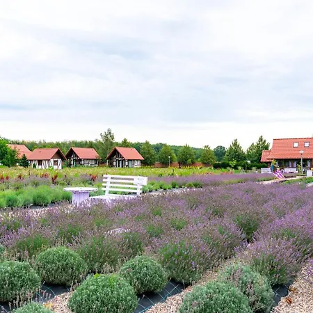 Vakantiehuis Lawendowy Zakatek Machowino- Grosso