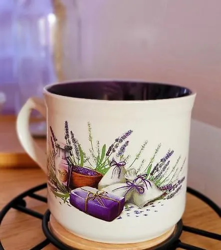 度假居 Lawendowy Zakatek Machowino- Grosso