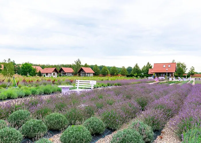 度假居 Lawendowy Zakatek Machowino- Grosso